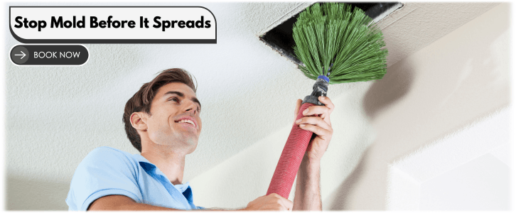 Air Duct Mold Removal in Cedar Hill