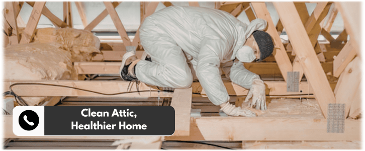 Attic Cleaning Cedar Hill
